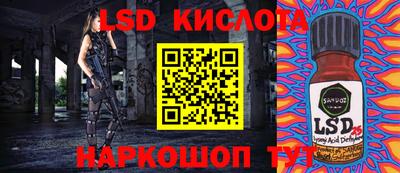 ГАЛЛЮЦИНОГЕННЫЕ ГРИБЫ Сланцы
