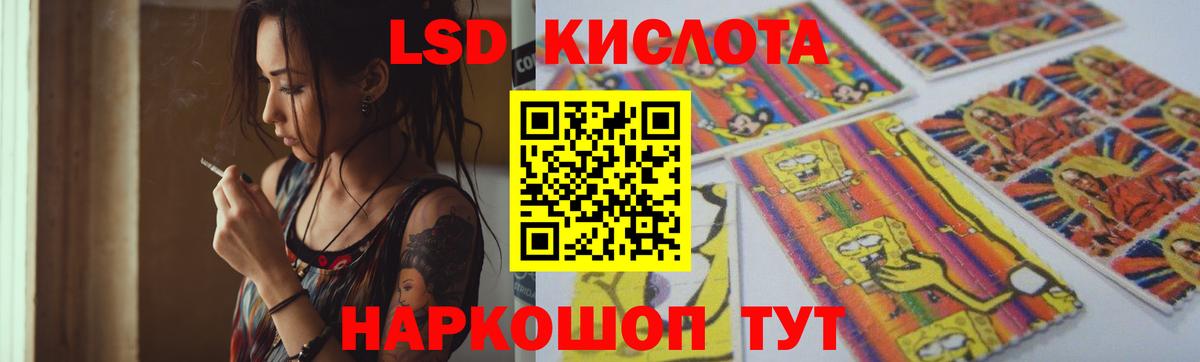 Галлюциногенные грибы Моздок