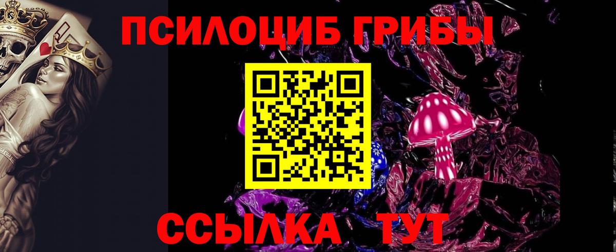 хочу наркоту  Псилоцибиновые грибы прущие грибы  Вход с VPN  Моздок 